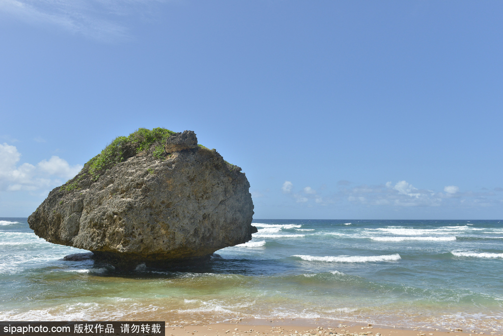 IM体育下载-热带岛国选手实力赢球，夺得冠军