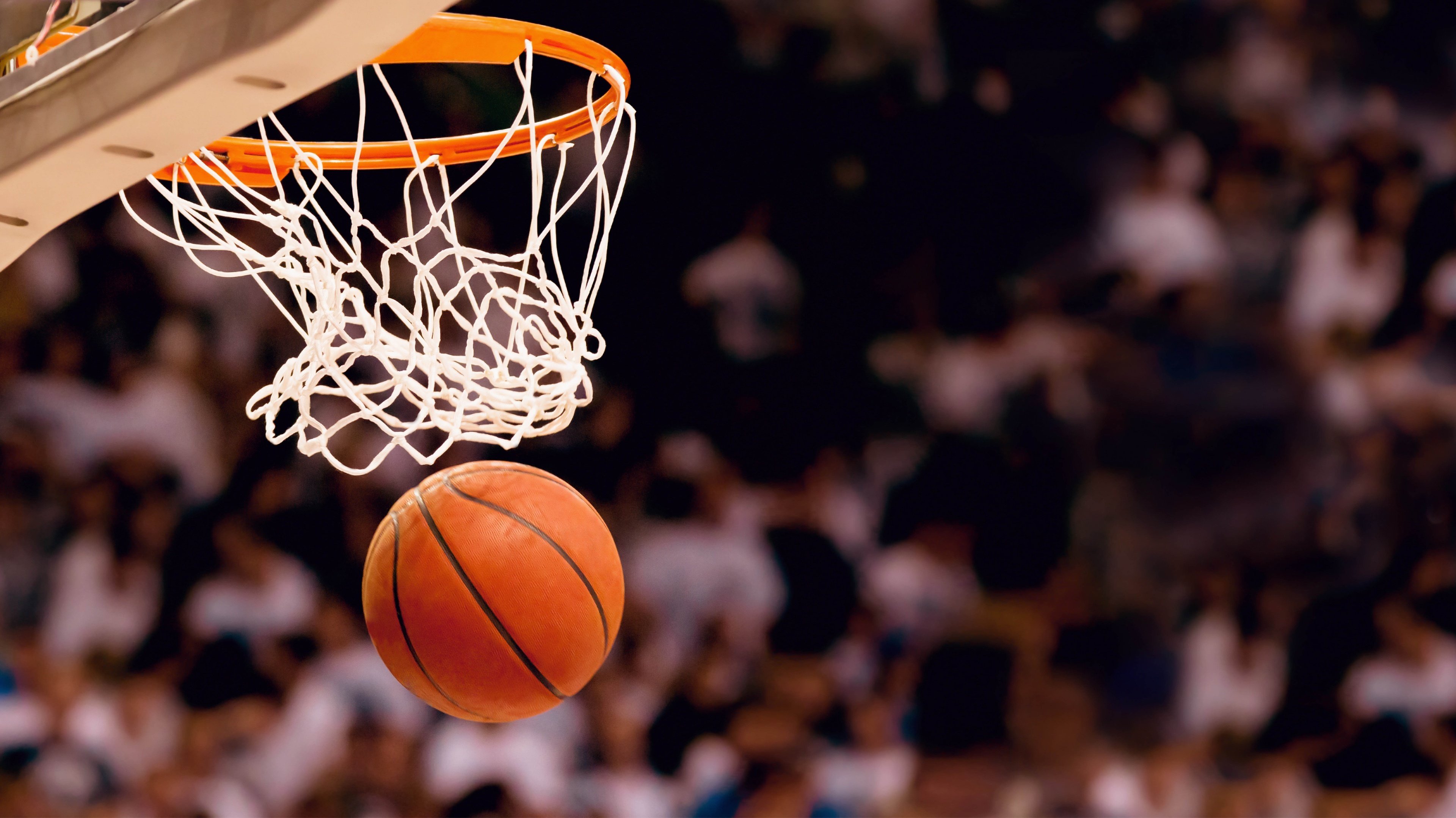 唯一性之夜,福克斯关键制胜,NBA季后赛的永恒瞬间